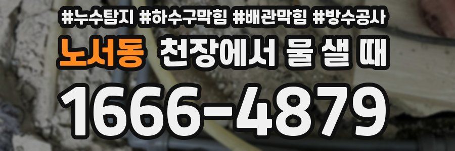 노서동 천장에서 물 샐 때