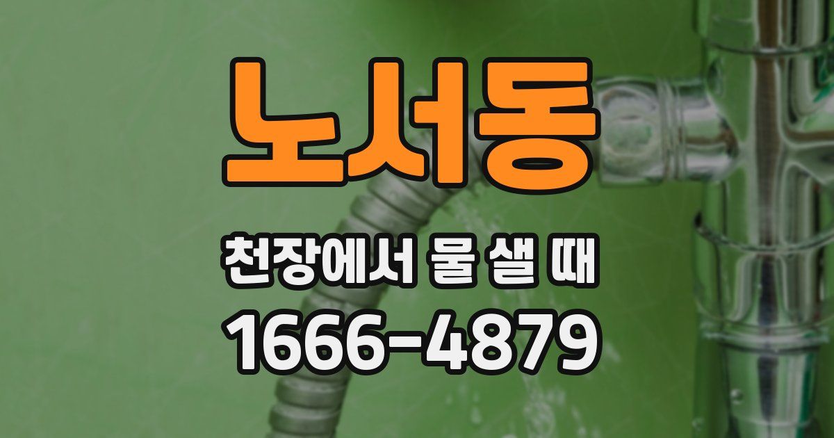 노서동 천장에서 물 샐 때