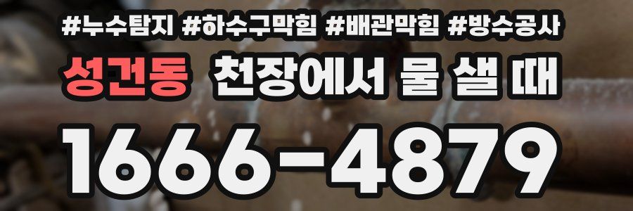 성건동 천장에서 물 샐 때