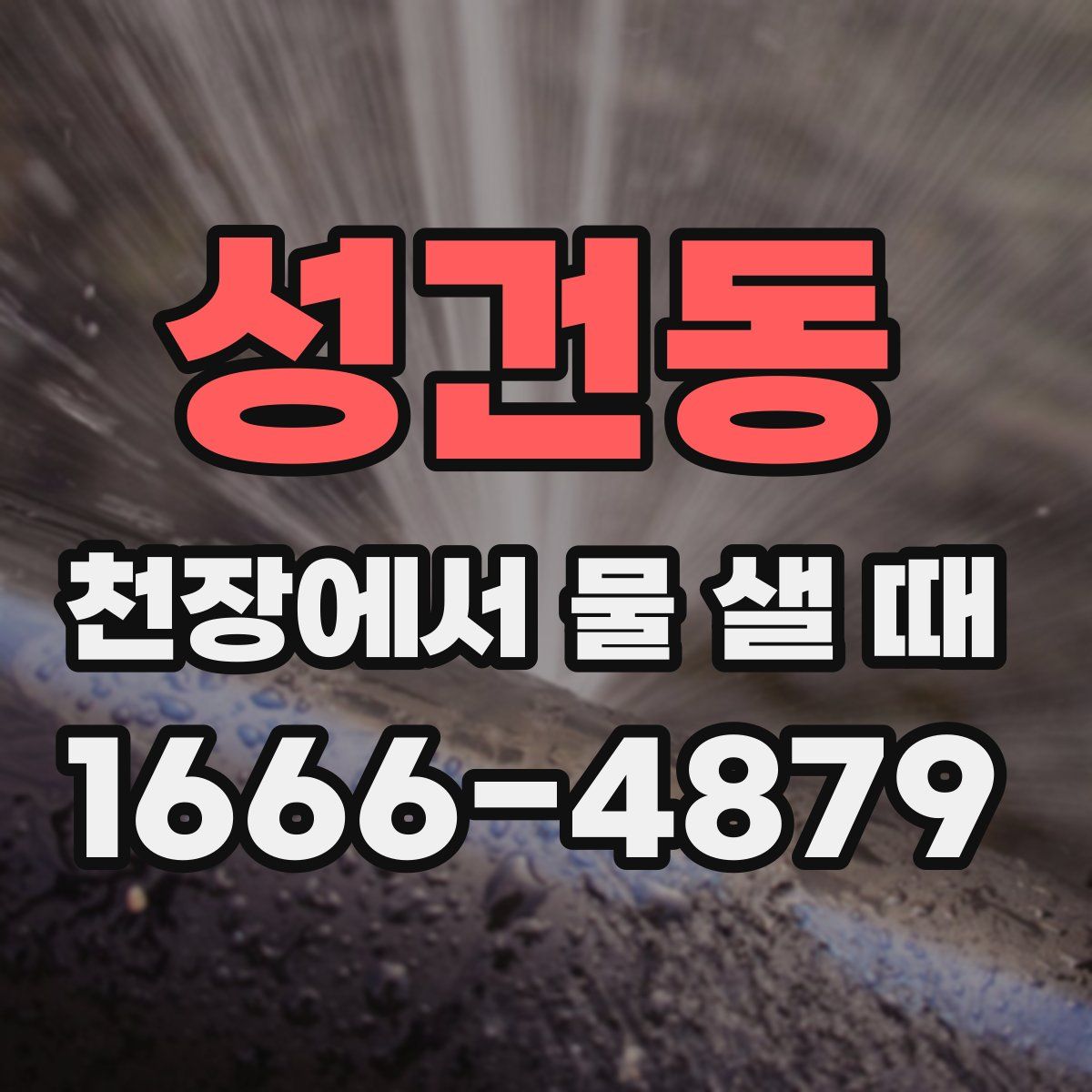 성건동 천장에서 물 샐 때