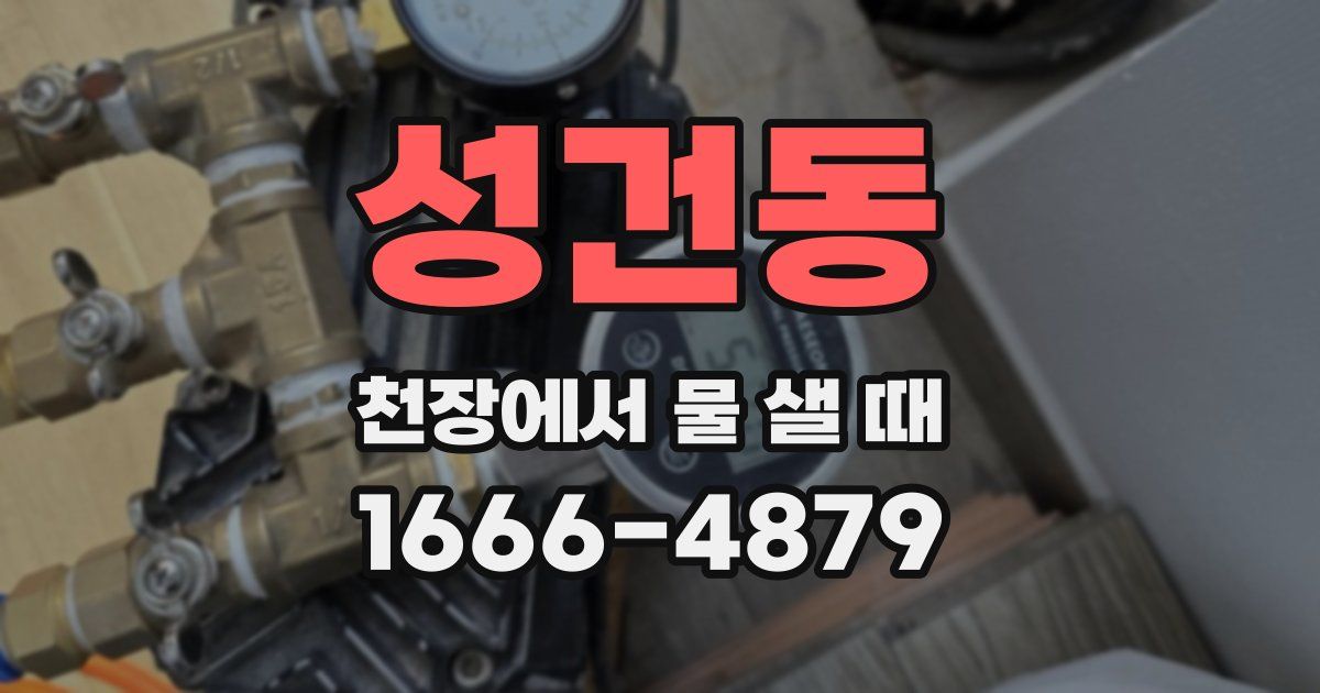 성건동 천장에서 물 샐 때