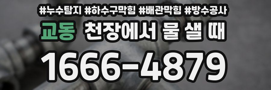 교동 천장에서 물 샐 때
