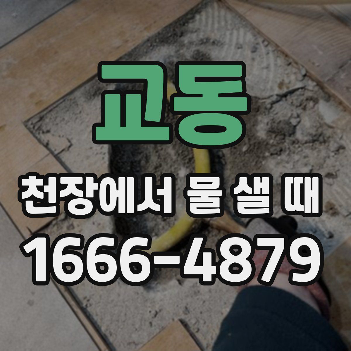 교동 천장에서 물 샐 때