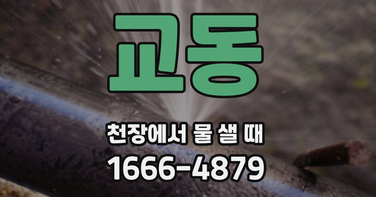 교동 천장에서 물 샐 때