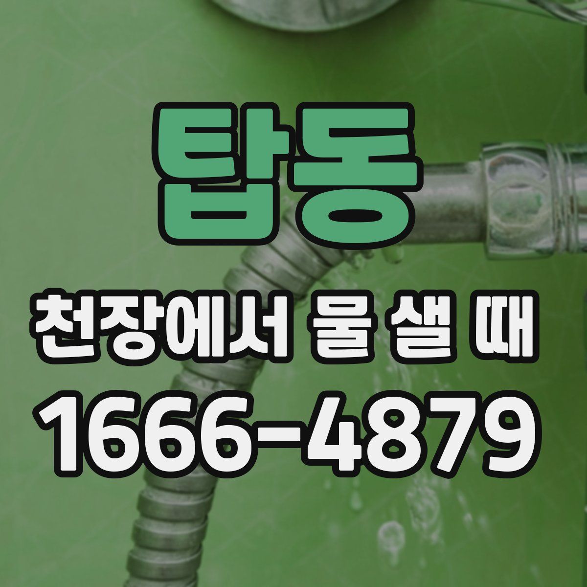탑동 천장에서 물 샐 때