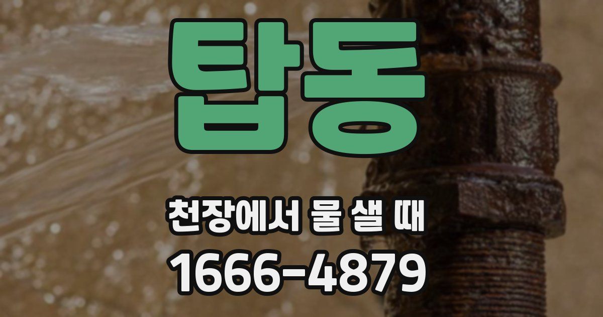 탑동 천장에서 물 샐 때