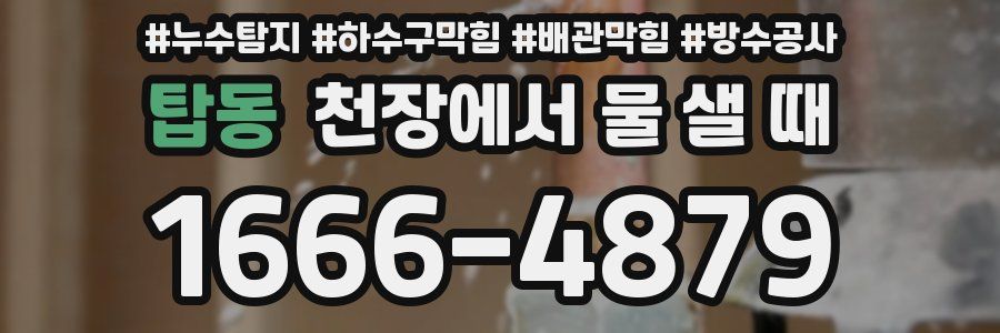 탑동 천장에서 물 샐 때