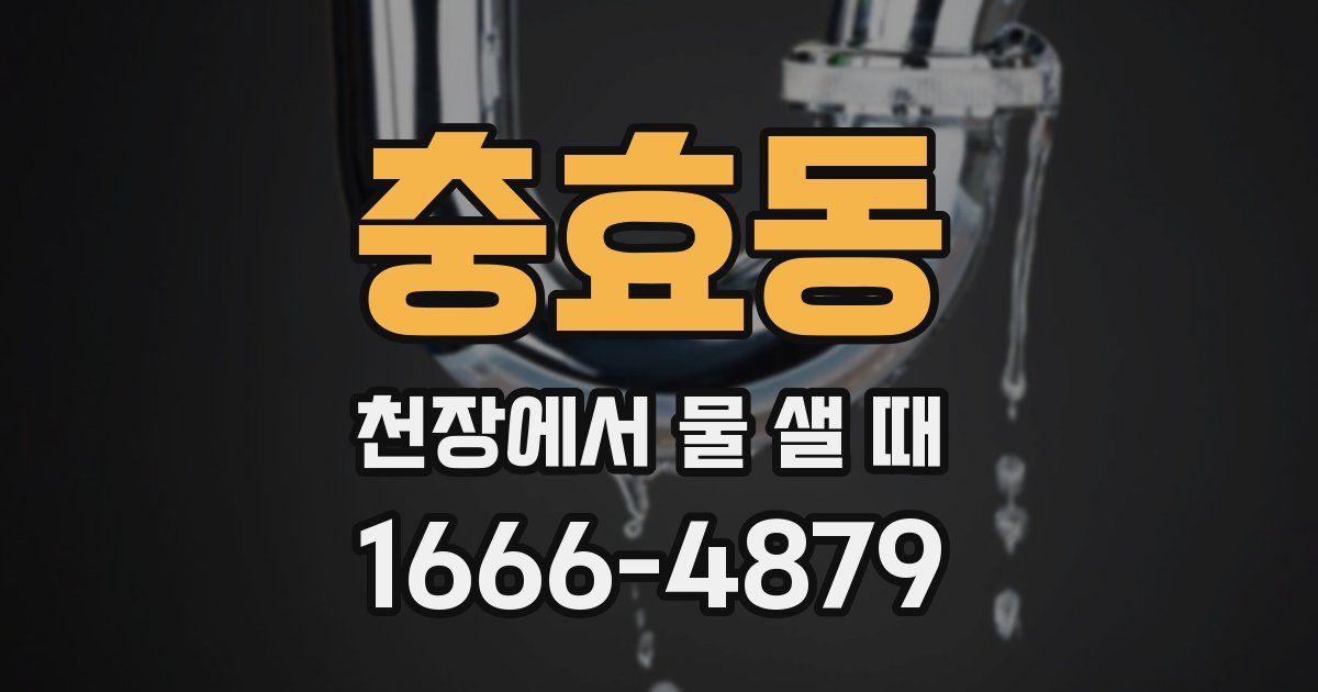 충효동 천장에서 물 샐 때