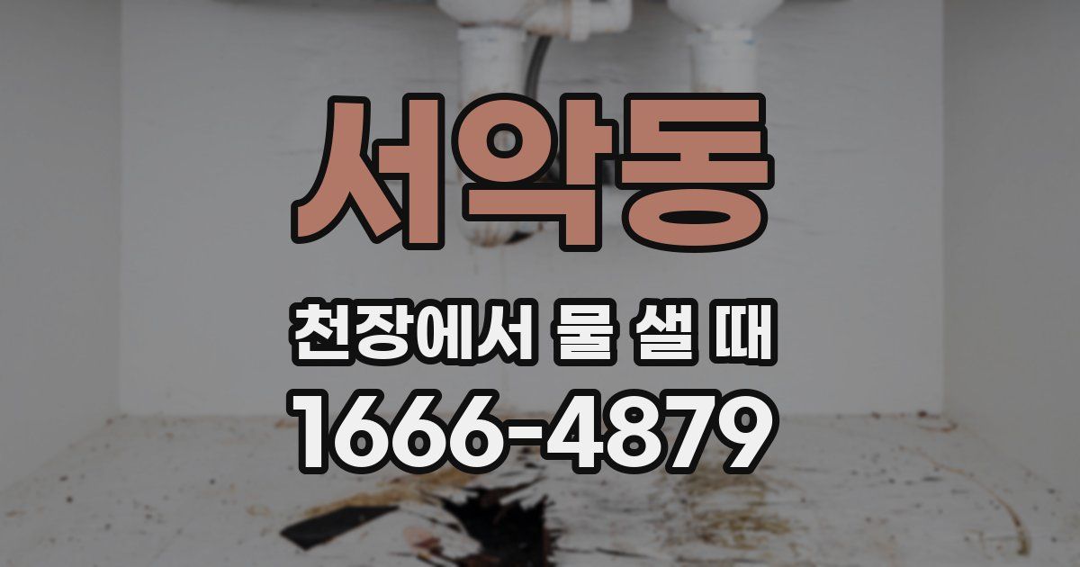 서악동 천장에서 물 샐 때