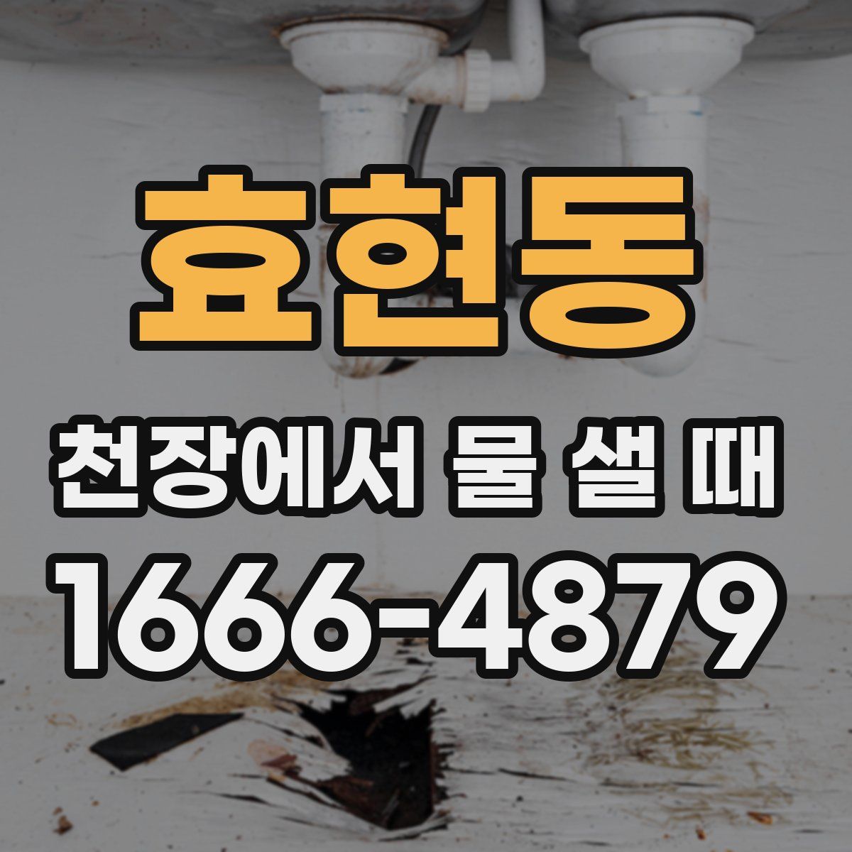 효현동 천장에서 물 샐 때