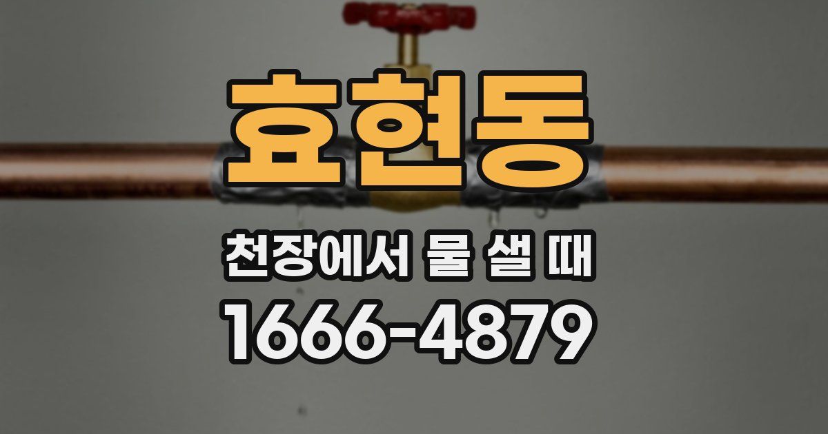 효현동 천장에서 물 샐 때