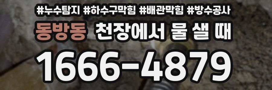 동방동 천장에서 물 샐 때