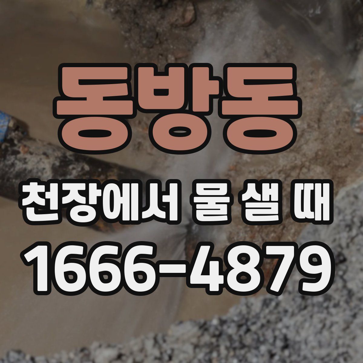 동방동 천장에서 물 샐 때