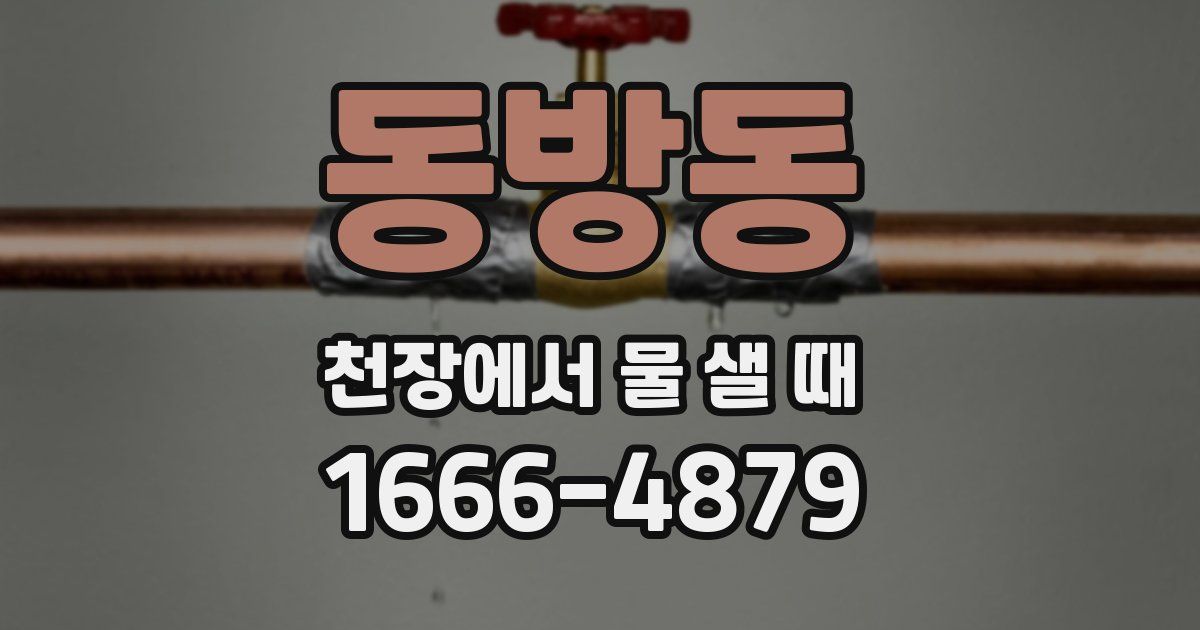 동방동 천장에서 물 샐 때