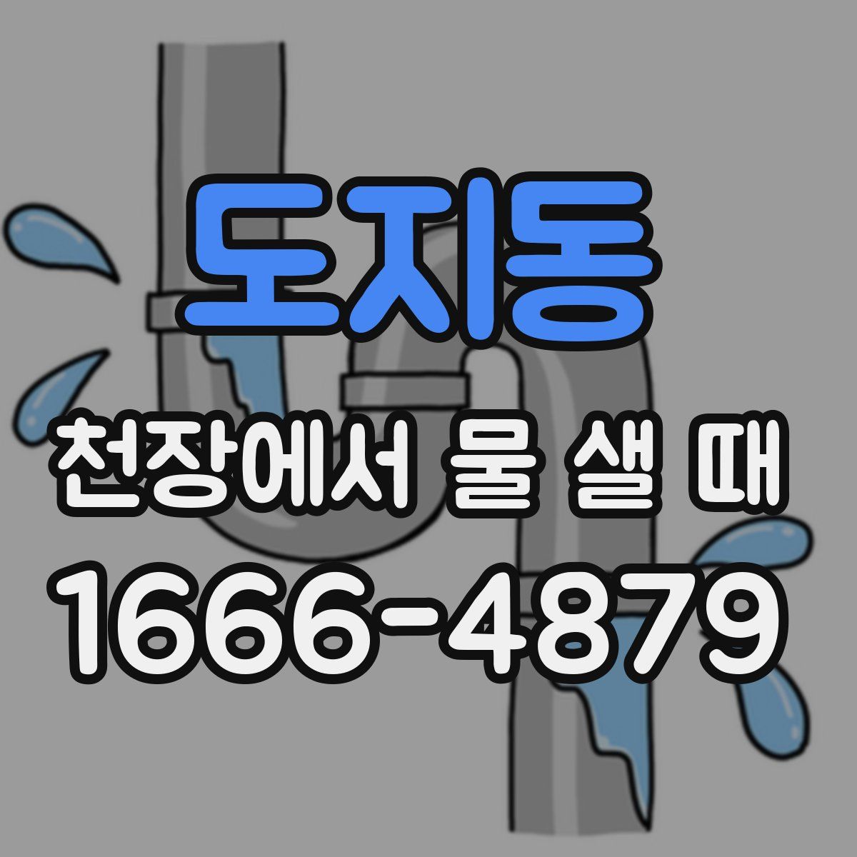 도지동 천장에서 물 샐 때