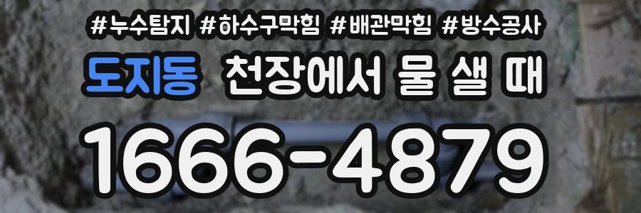 도지동 천장에서 물 샐 때