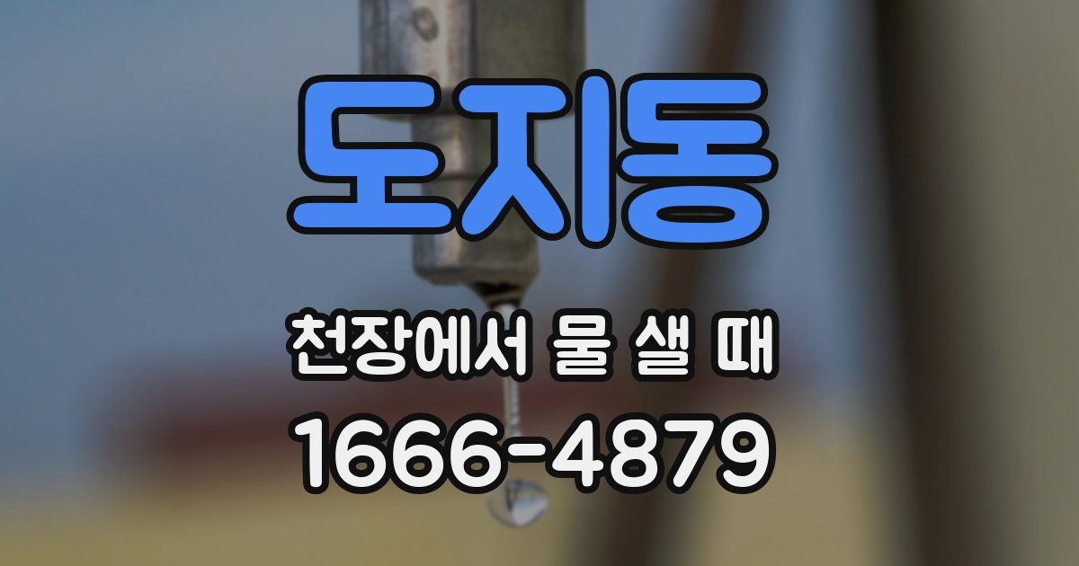 도지동 천장에서 물 샐 때