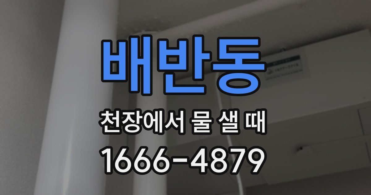 배반동 천장에서 물 샐 때