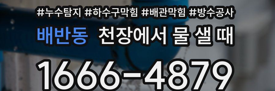 배반동 천장에서 물 샐 때