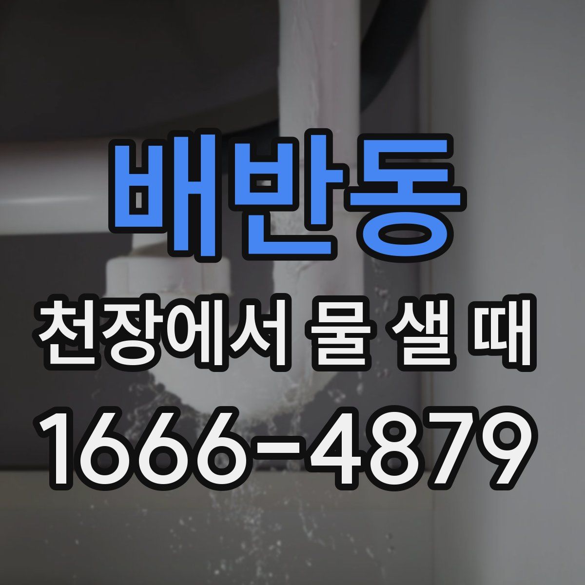 배반동 천장에서 물 샐 때
