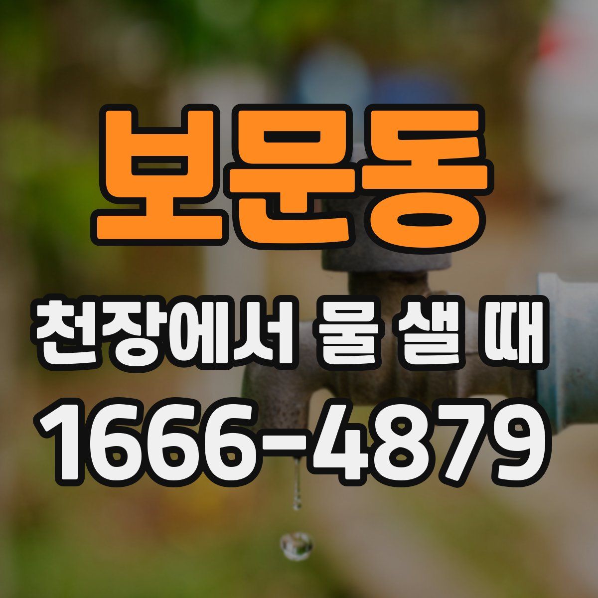 보문동 천장에서 물 샐 때
