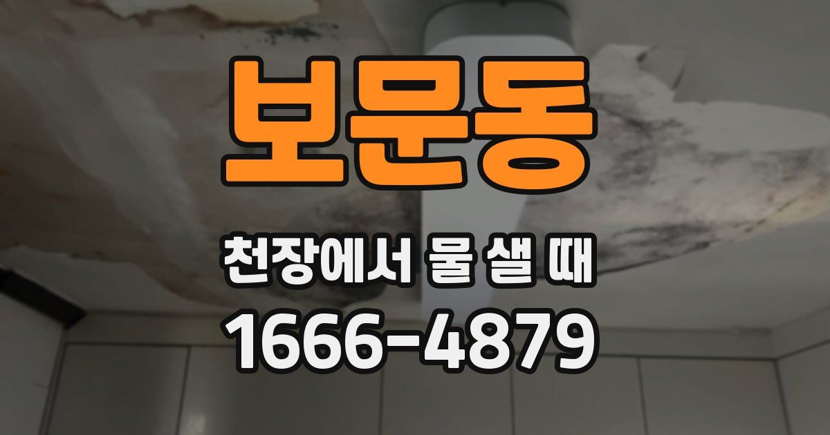 보문동 천장에서 물 샐 때
