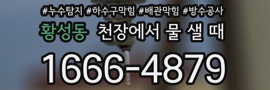 황성동 천장에서 물 샐 때