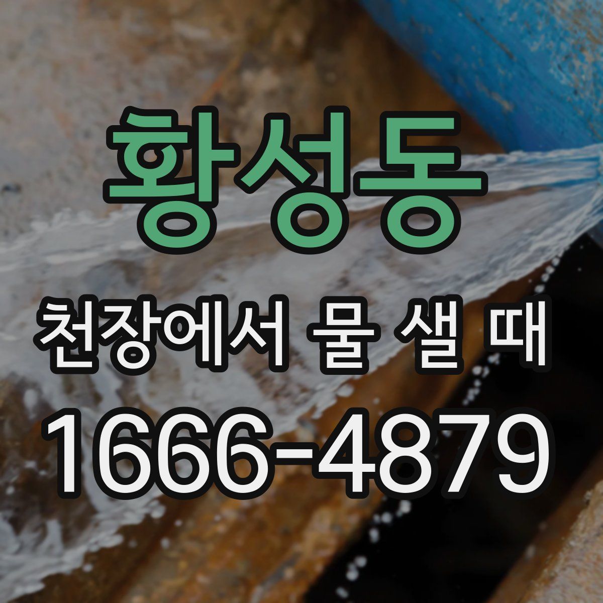 황성동 천장에서 물 샐 때