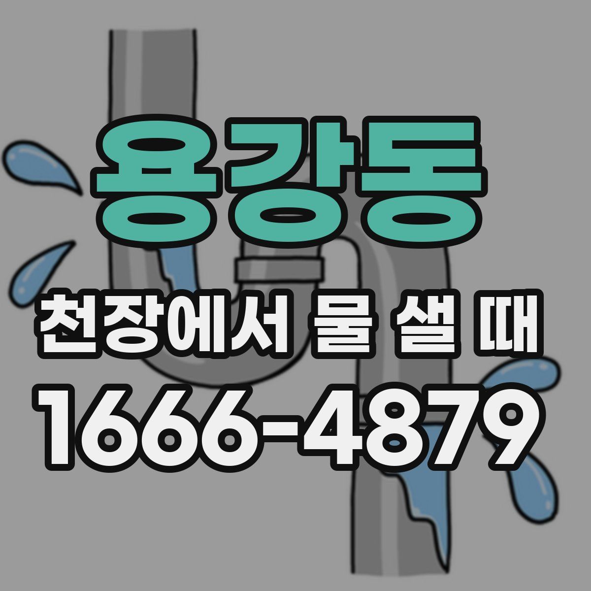 용강동 천장에서 물 샐 때