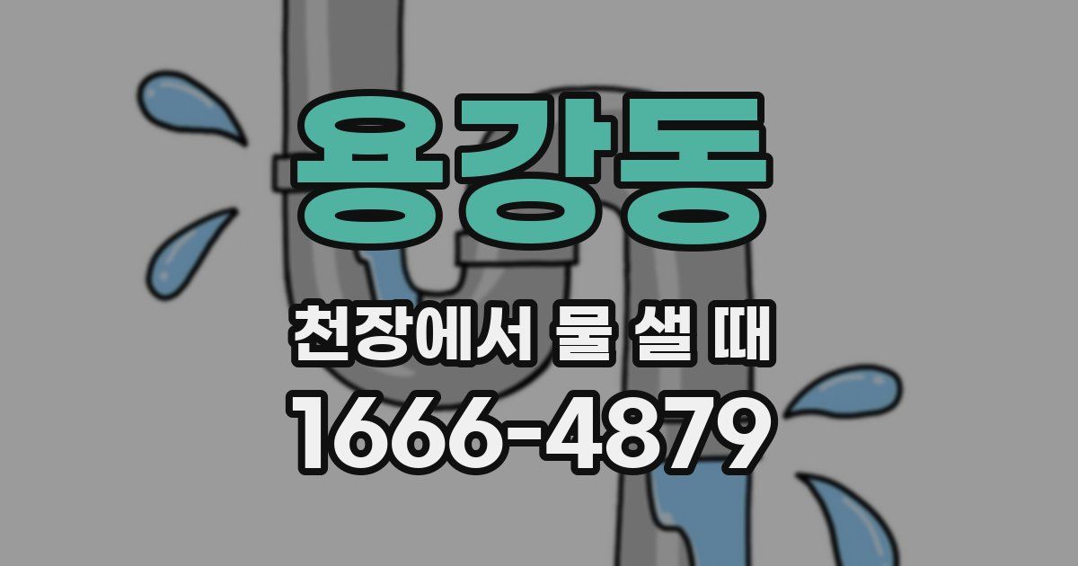 용강동 천장에서 물 샐 때