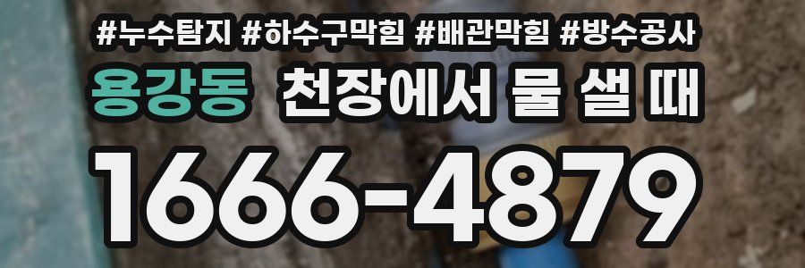 용강동 천장에서 물 샐 때