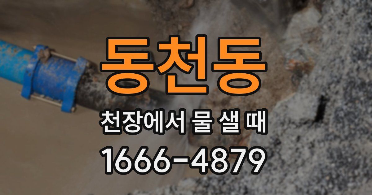 동천동 천장에서 물 샐 때