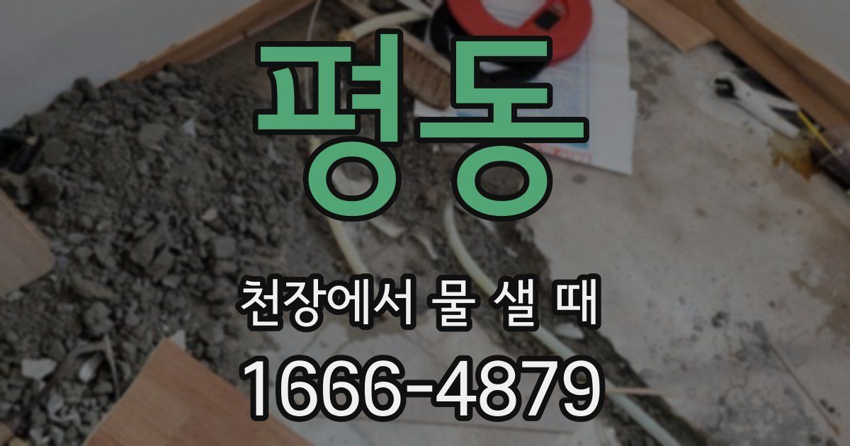 평동 천장에서 물 샐 때