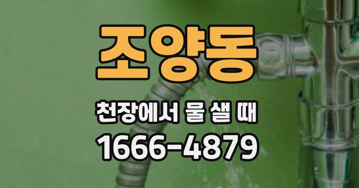 조양동 천장에서 물 샐 때