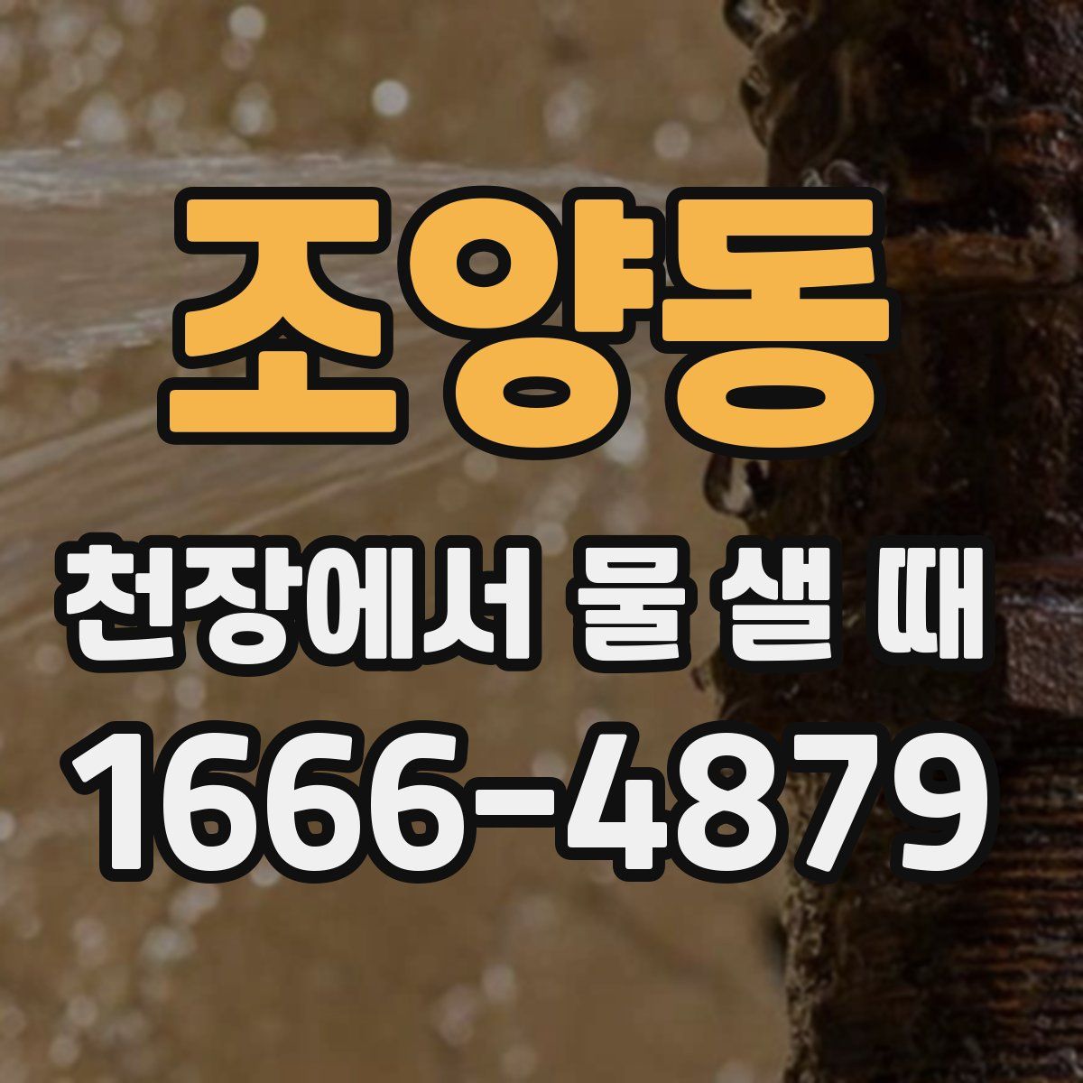 조양동 천장에서 물 샐 때