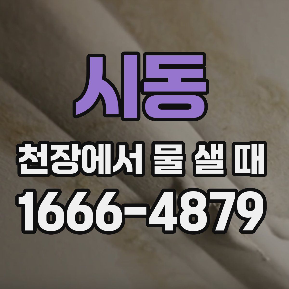 시동 천장에서 물 샐 때