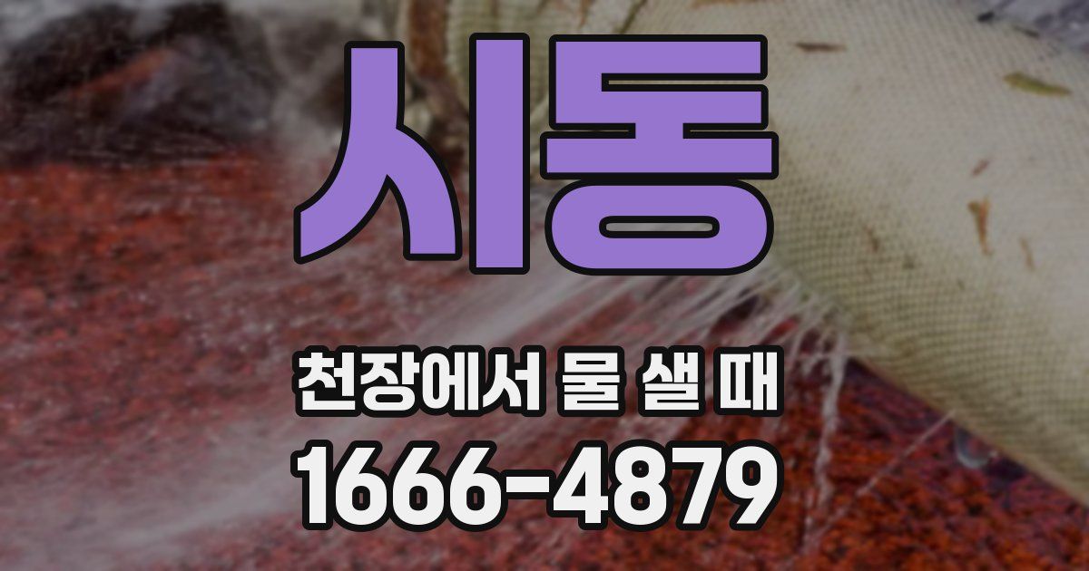 시동 천장에서 물 샐 때