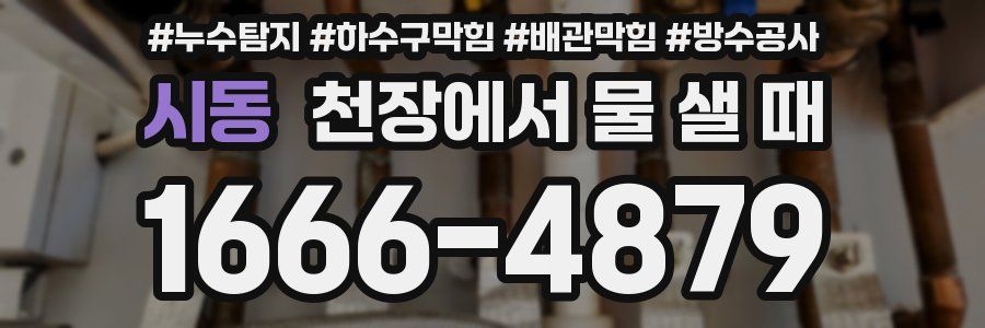 시동 천장에서 물 샐 때