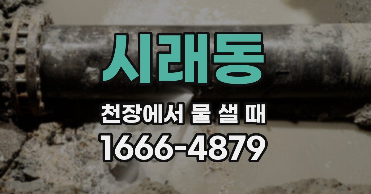 시래동 천장에서 물 샐 때