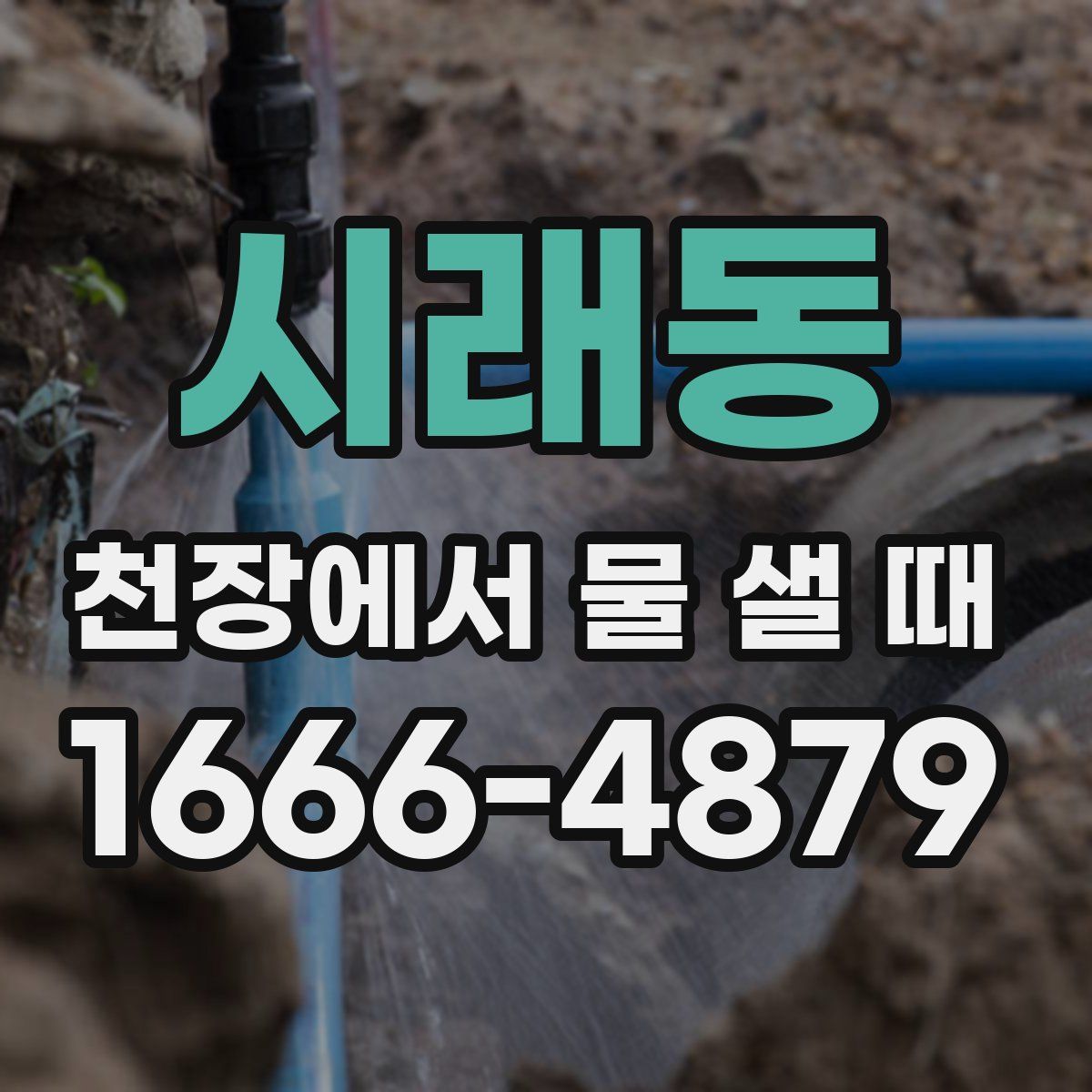 시래동 천장에서 물 샐 때