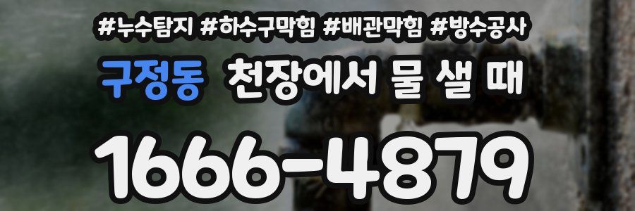 구정동 천장에서 물 샐 때