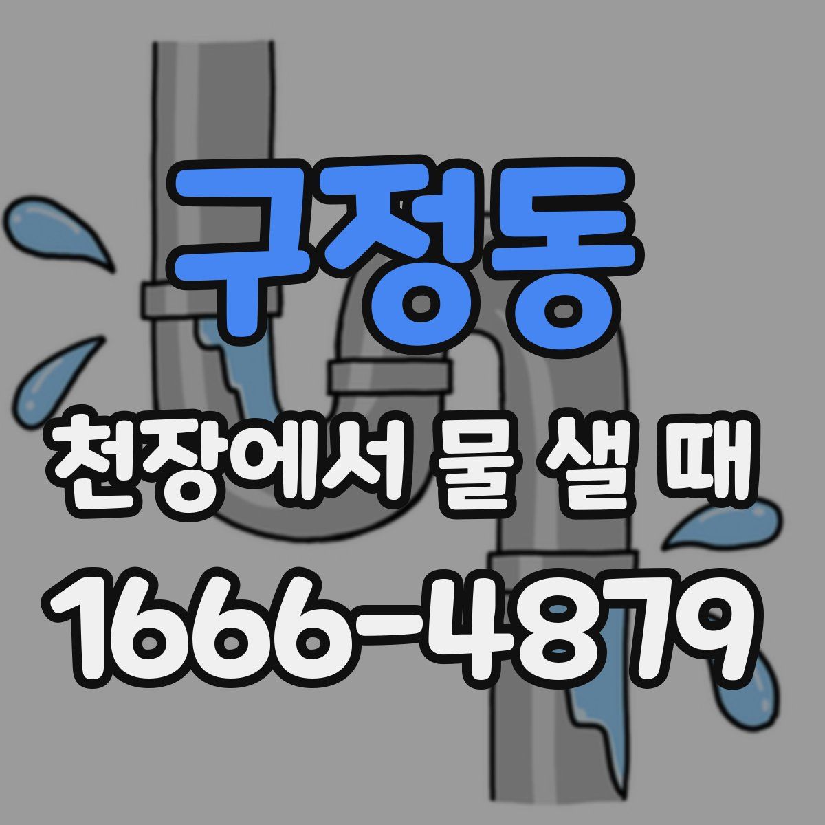 구정동 천장에서 물 샐 때