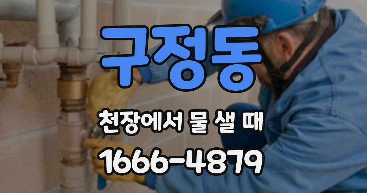구정동 천장에서 물 샐 때
