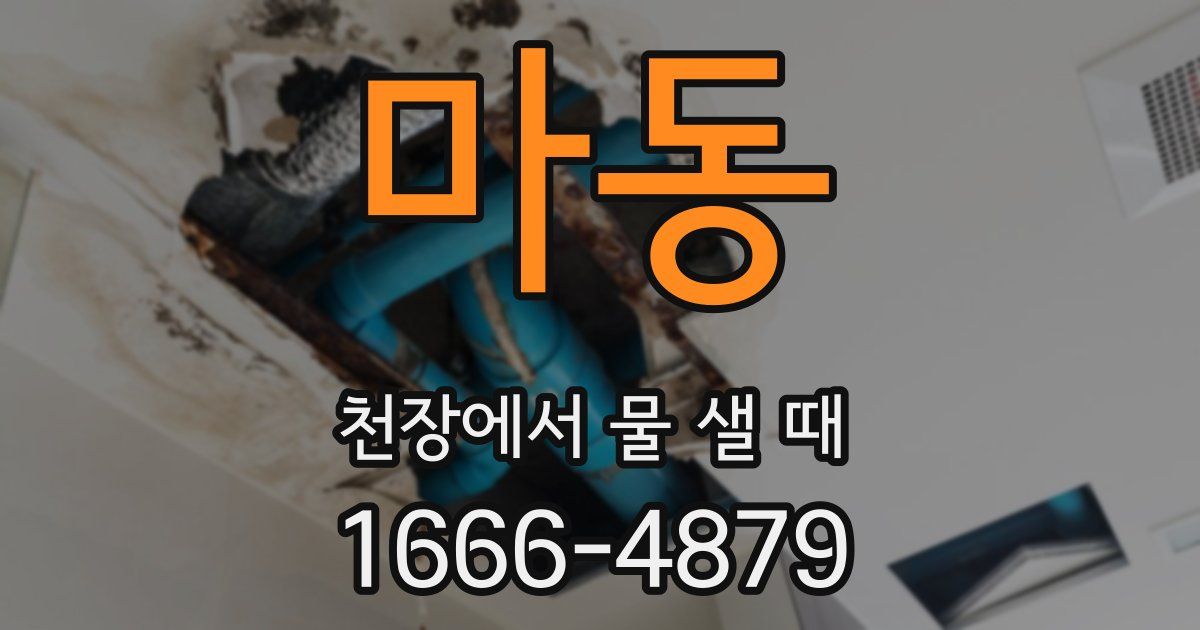 마동 천장에서 물 샐 때