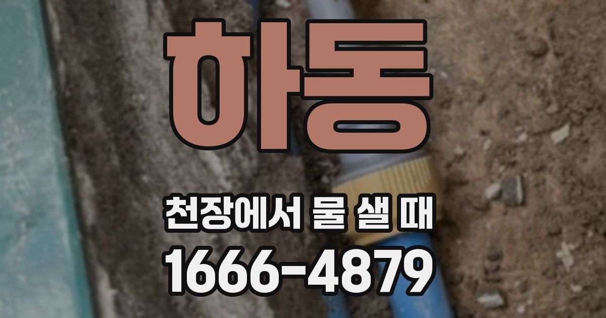 하동 천장에서 물 샐 때