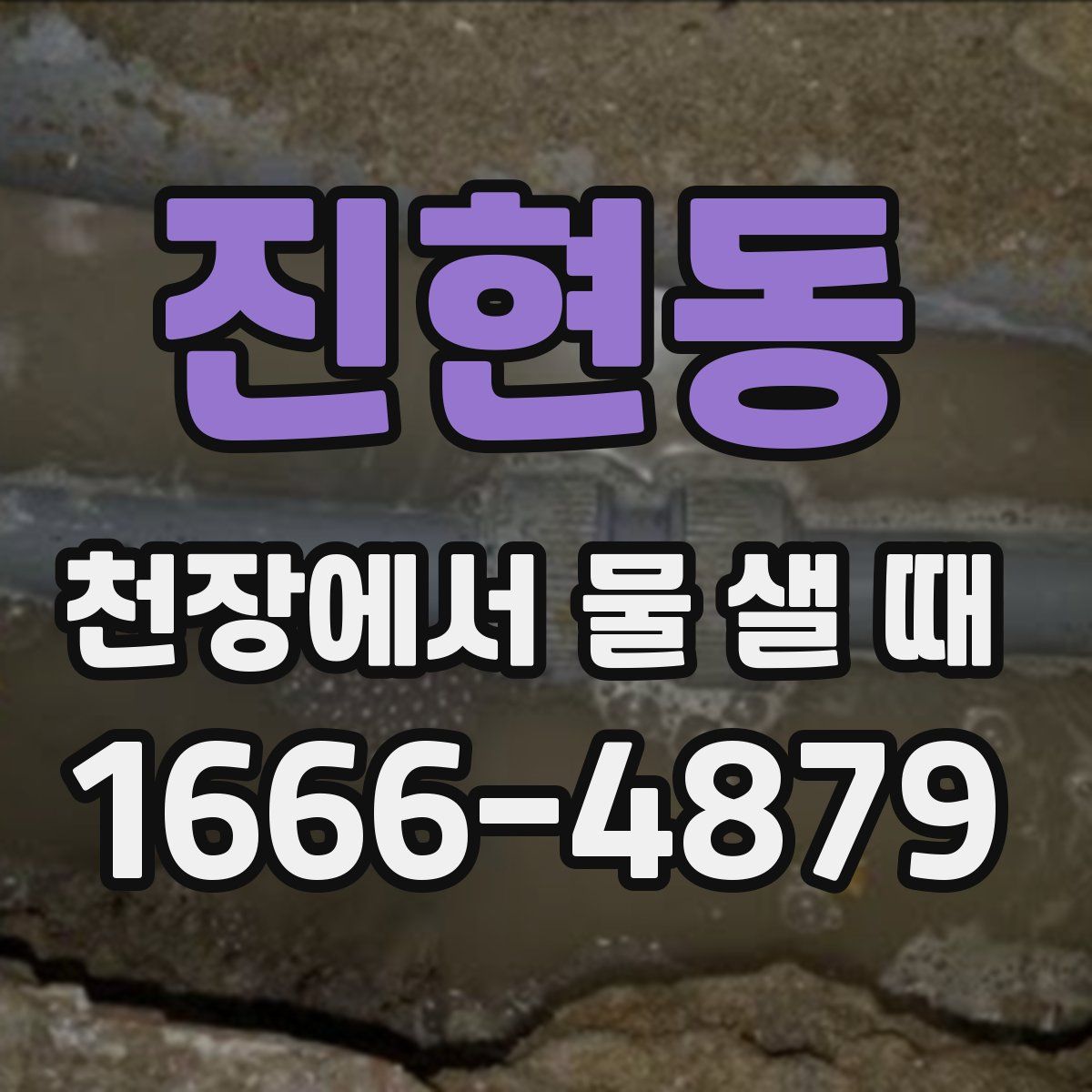 진현동 천장에서 물 샐 때