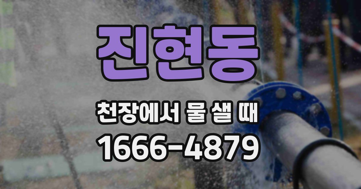 진현동 천장에서 물 샐 때