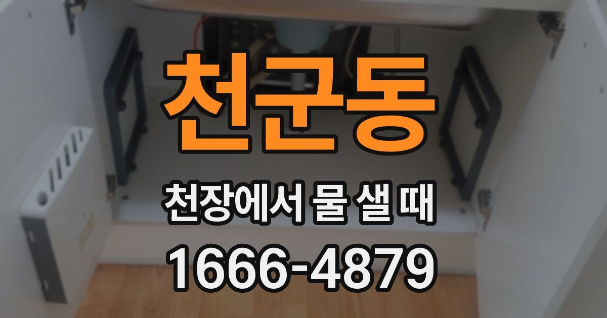 천군동 천장에서 물 샐 때