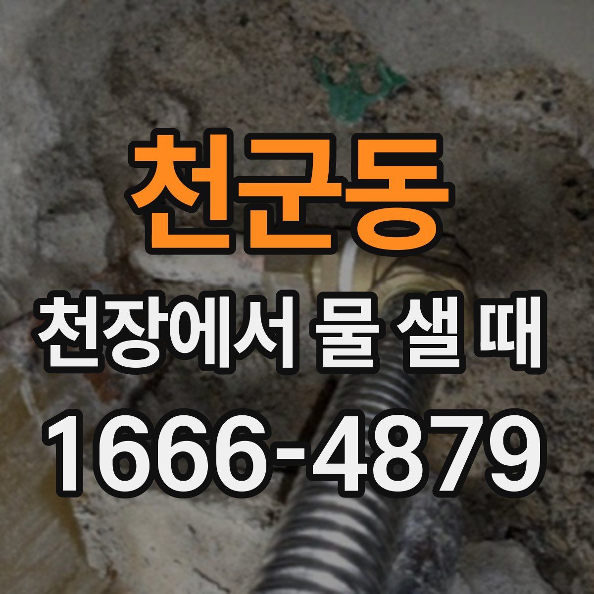 천군동 천장에서 물 샐 때