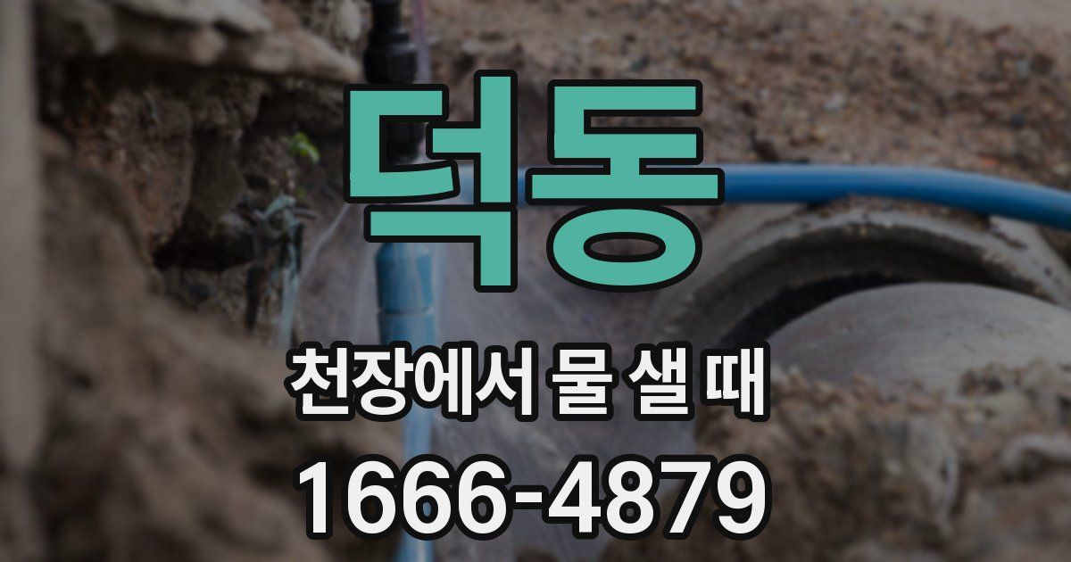 덕동 천장에서 물 샐 때